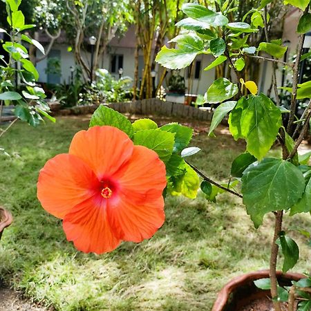 The Well Beach Side Guest House Auroville Exteriör bild