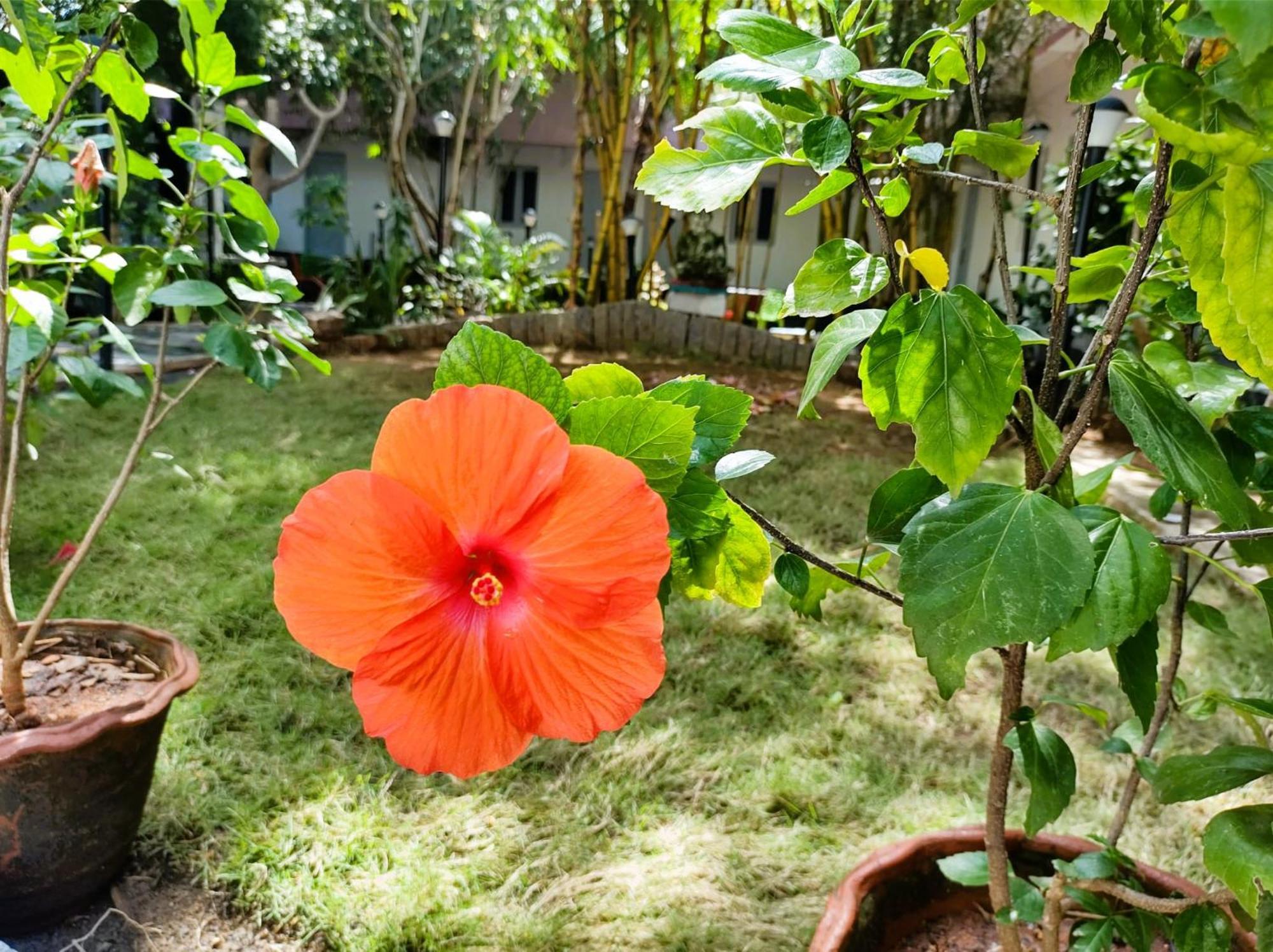 The Well Beach Side Guest House Auroville Exteriör bild
